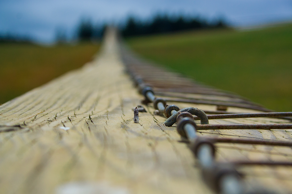 Photo of fence with shallow focus