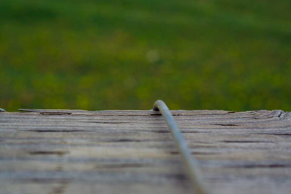 Photo of fence with shallow focus