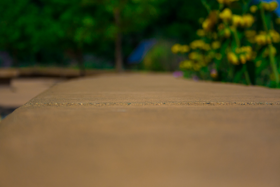 Photo of concrete and flowers with shallow view