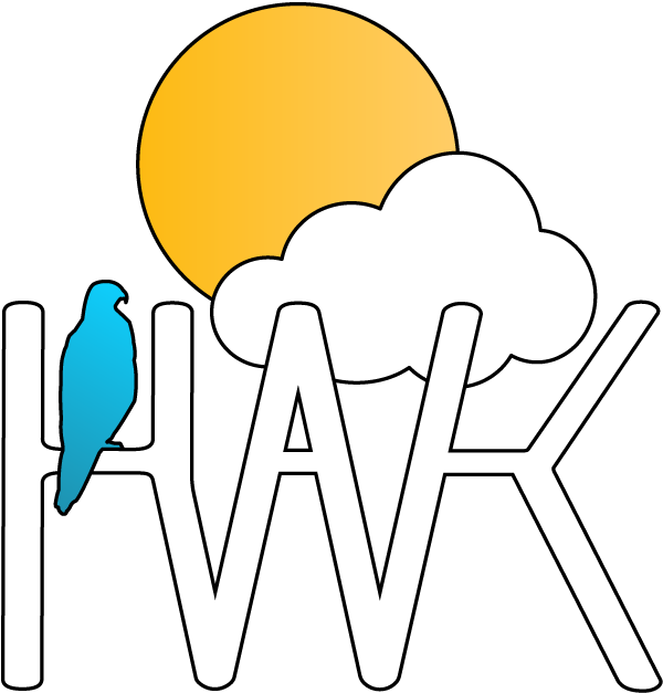 Skyhawk Hero Logo